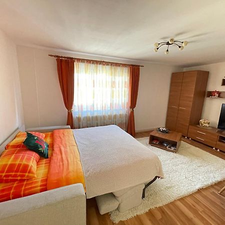 Apartment Cristian Timisoara Exterior foto